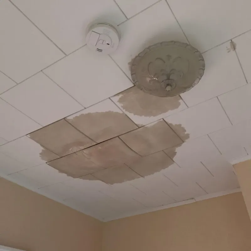 Ceiling Water Damage Repair in Pine Crest, TN
