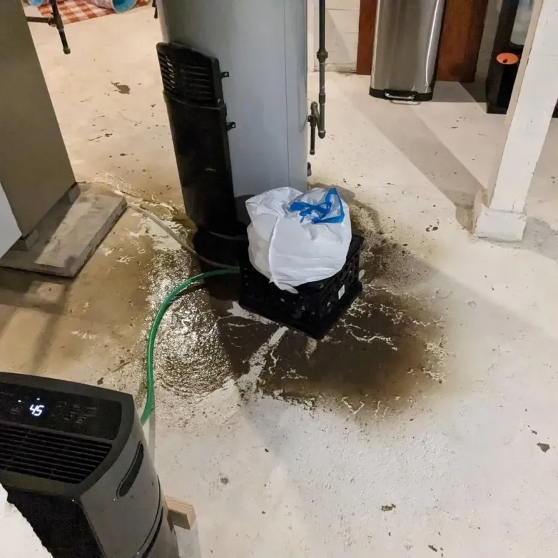 Sewage Backup Cleanup Service in Pine Crest, TN
